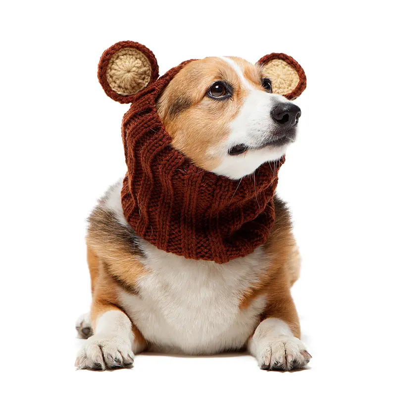 Grizzly Bear Zoo Snood