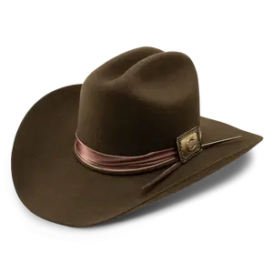 CHARLIE 1 HORSE SONGBIRD WESTERN HAT