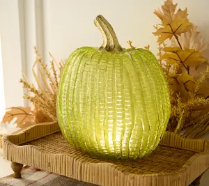 11" Illuminated Textured Pumpkin by Valerie