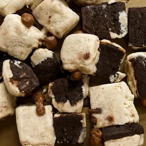 Freeze Dried HOT FUDGE BROWNIE Ice Cream Sandwich Bites - Viral TikTok Snack - Halloween