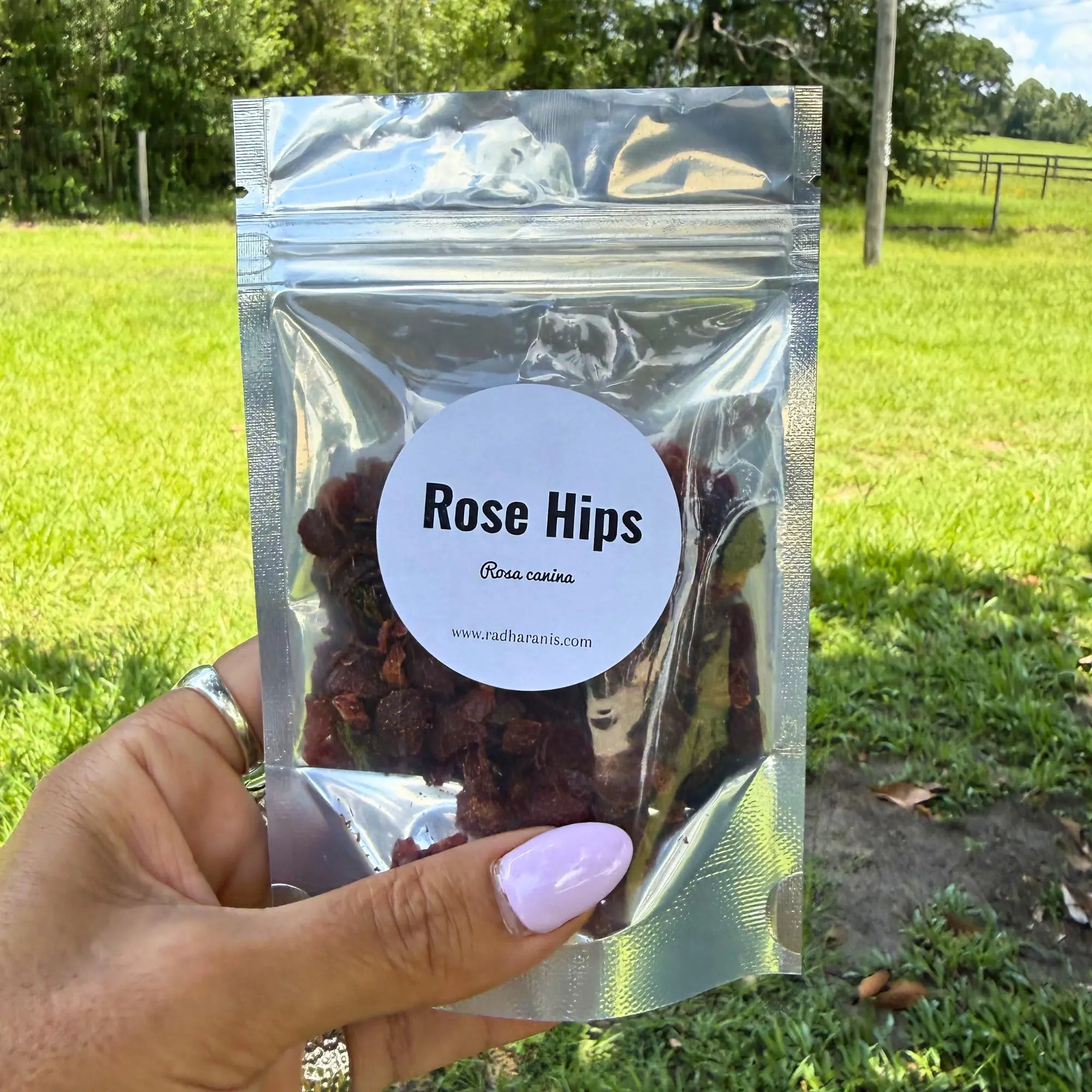 Rose Hips Whole | Dried Rosehips | Premium Botanical Herb | Potpourri & DIY Crafts