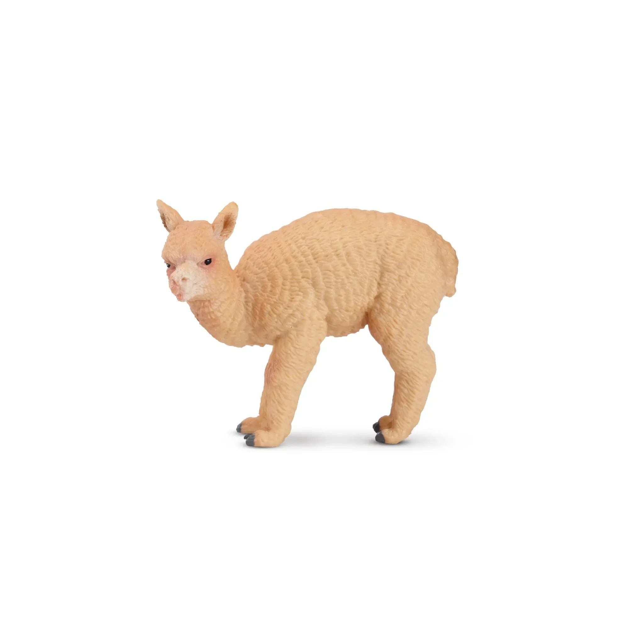 Toymany Hand-Painted Standing Alpaca Baby Figurine – Realistic Animal Model, Perfect for Early Education, Montessori Sensory Play, Cake & Party Decorations, Desk & Home Décor, Thoughtful Gifts, and Collectible Figurine