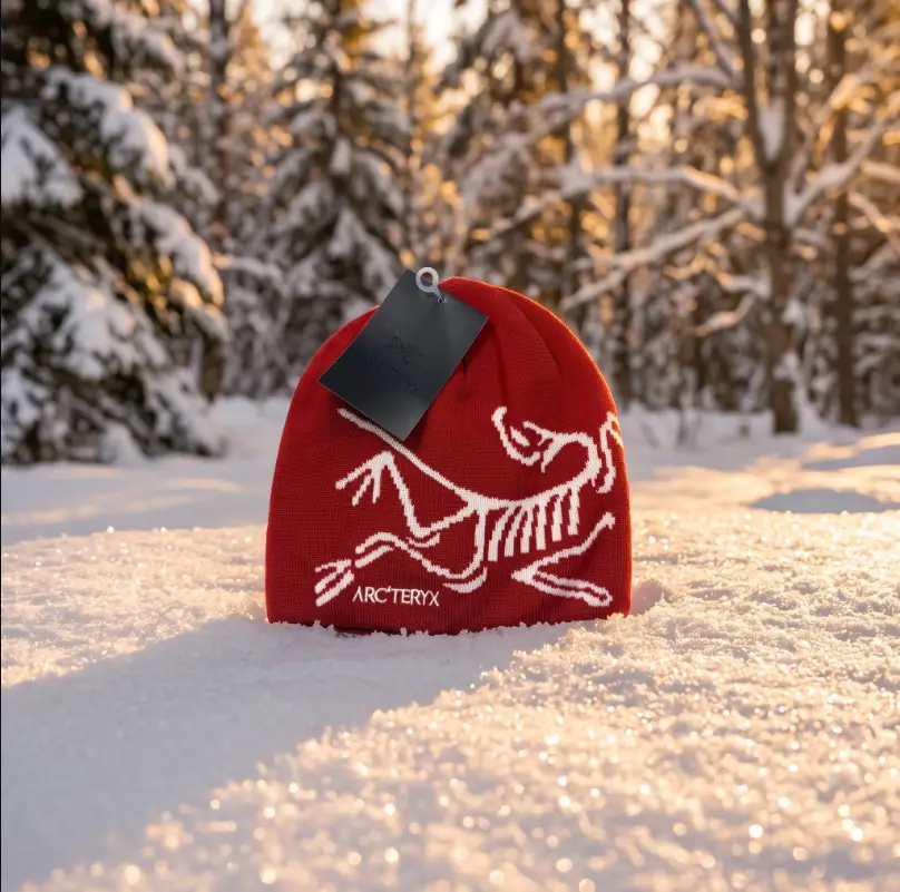 Arc'teryx Bird Head Toque – Frozen Peak Winter Beanie for Men & Women, Warm Knit Ski Hat for Snowboarding Hiking Climbing Outdoor Adventure