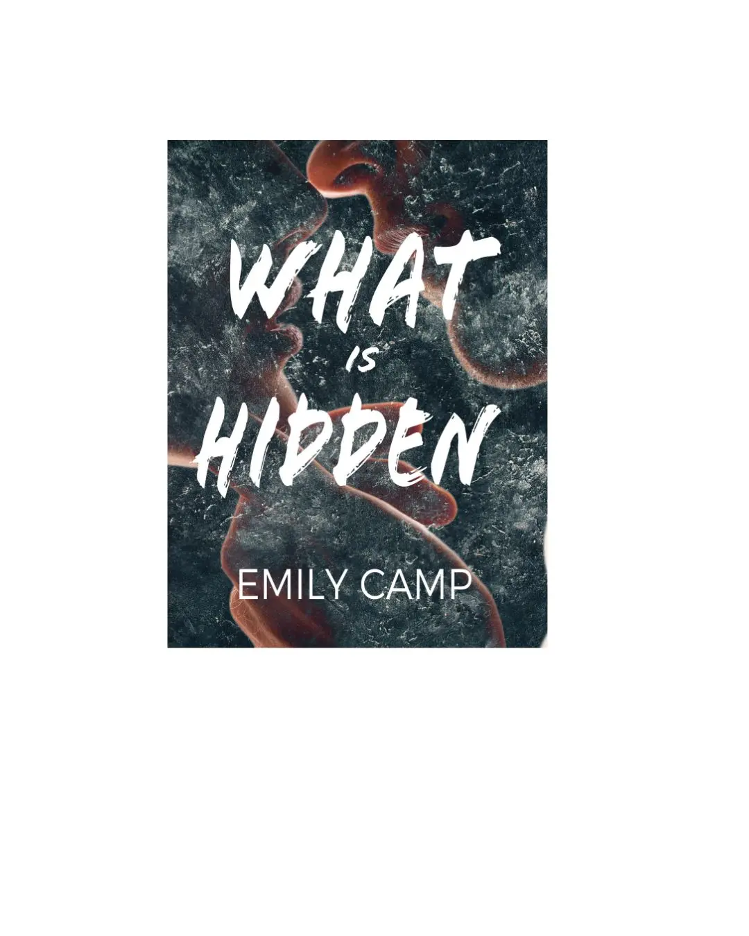 What Is Hidden paperback discreet cover