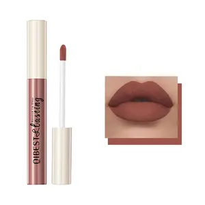 Matte Finish Lip Gloss, 1 Count Long-lasting Lip Glaze Stick, Smudge-Proof Non-Stick Smooth Lip Lip Stain for Daily Use, Hydrating Cosmetic Makeup Gift