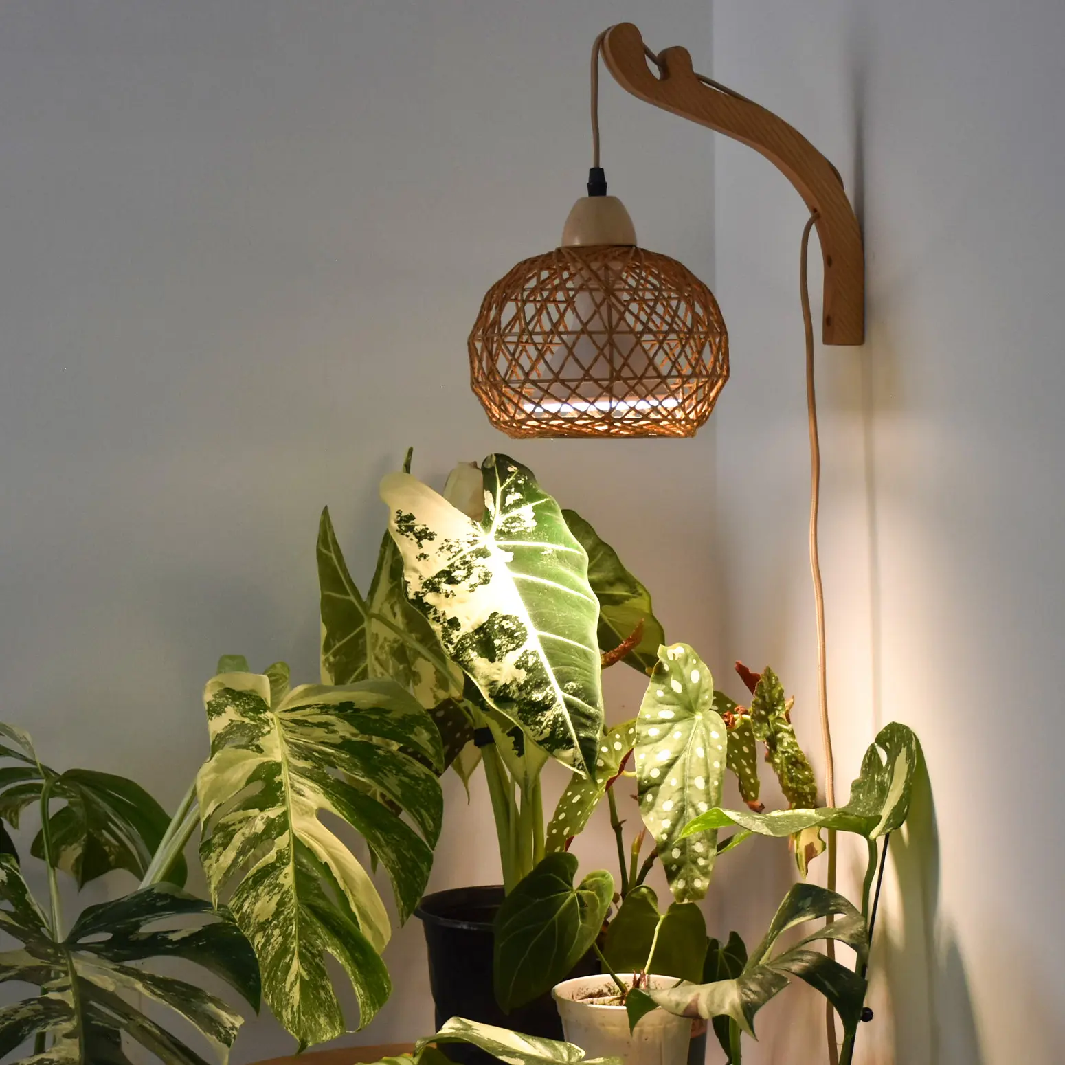 Bstrip Boho Rattan Wood Hanging Grow Light - 18W Full Spectrum, Wall Mount Cultivation Equipment, 9.8FT Cord, Adjustable Height, Grow Lights for Indoor Plants, Enhances Home Ambiance, Wall Mounted, Easy Grow, Growing Led