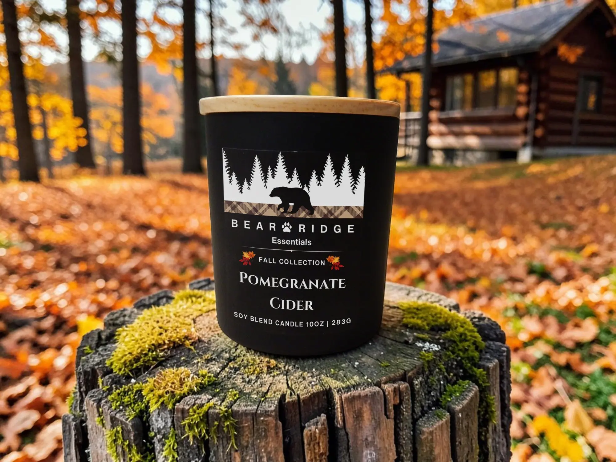Pomegranate Cider 10 oz Candle