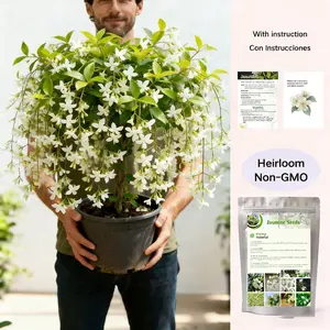 50 pcs  Gardenia Flower Seeds for Planting Outdoors-Perennial Cape Jasmine Flower Fragrant Flowes Plant Home Garden