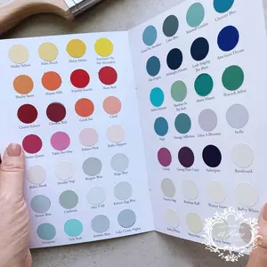 One Step Paint - Color Guide