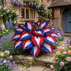 Mixed Hosta Seeds, 800Pcs Premium Shade-Loving Garden Seeds, Stunning Colorful Foliage Ornamental Plants, Super Easy to Grow for Backyard Decoration and Vibrant Colorful Garden View