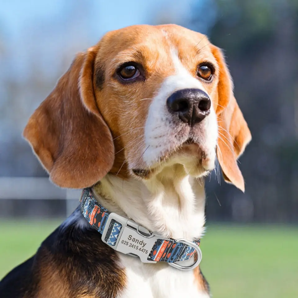 Adjustable Nylon Dog Collar Personalized Dogs Cat ID