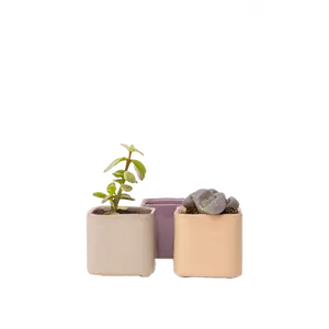 Svek Ceramic Indoor Succulent Pot