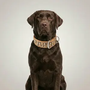 Wide Reflective Pet Collar, Vintage Fashion Dog Collar, Soft, Comfortable, Breathable, Adjustable, Suitable for Medium and Large Dogs