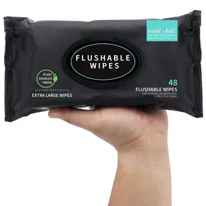 Flushable Wet Wipes Pack, 48 Sheets Large Unscented Adult Toilet Wipes with Vitamin E & Aloe Vera, Safe for Septic Systems & Sewer Lines