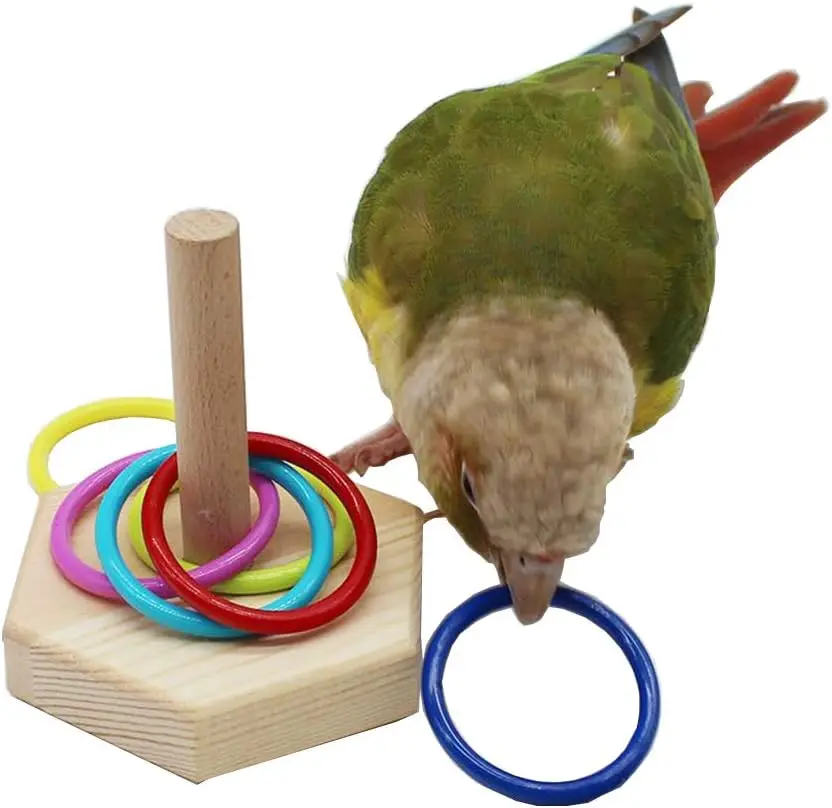 Bird Ring Toys - Budgie & Parrot Training Toys, Color Ring Sets, Chew Ball & Play Gym