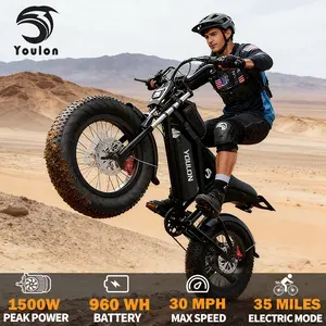 YOULON 1500W Peak  Electric Bike for Adults, 30MPH, 48V 20Ah Removable Battery, 20"x4" Fat Tire All-Terrain Ebike, 7-Speed Shimano, Dual Hydraulic Brakes, Full Suspension, 330LBS Load, IPX6 Waterproof Off-Road E-Bike outdoorfun