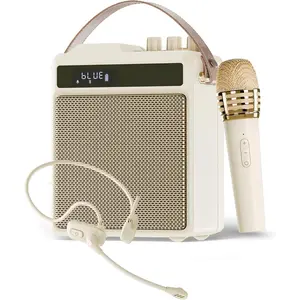 VoxAmp Duo - Portable  Voice Amplifier Microphone & Speaker Set for Classroom, Small Events & Parties, USB Recording & Playback, 30W Clear Voice & Rich Sound, 14H