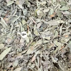 Fèy pwa kongo. Peageon - Pigeon Pea Leaves