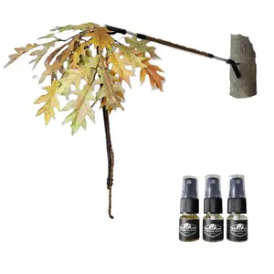 BuckBranch All In One Tree Mounted Licking Branch Rubbing Post and Mock Scrape System for Whitetail Deer  / Deer Hunting Accessories / Deer Hunting Gear / Bow Hunting Accessories / Trail Camera Accessory / Deer Hunting Gift