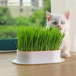 1 hydroponic cat grass planting pot (excluding seeds), plastic pet bowl