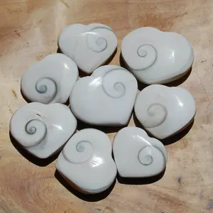 ONE Eye Of Shiva Shell Heart, Pacific Operculum Cat's Eye Seashell