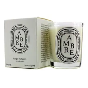 Diptyque  6.5 oz Scented Candle - Ambre