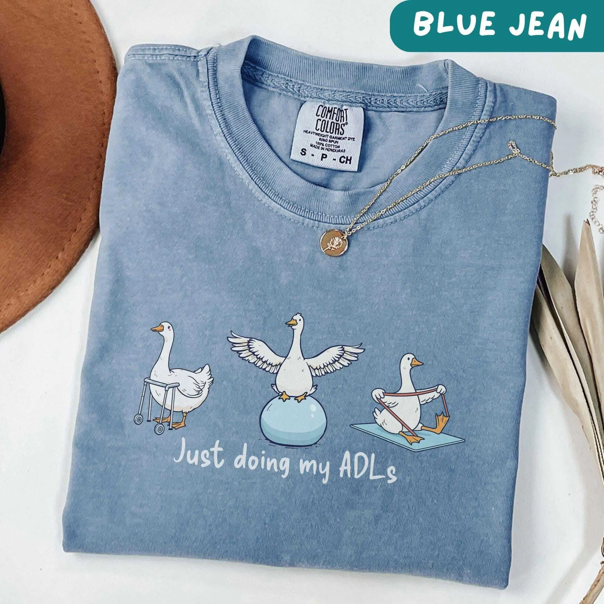 Funny Comfort Colors Physical Therapy Tshirt, Silly Goose Physical Therapist Gift, PT Shirt, DPT Tee, PTA Gift, Rehab Physical Therapist Cotton Fit