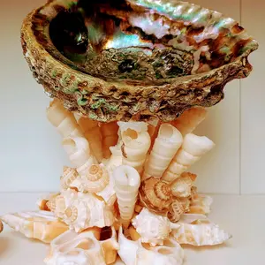 XL Abalone Shell with shell stand