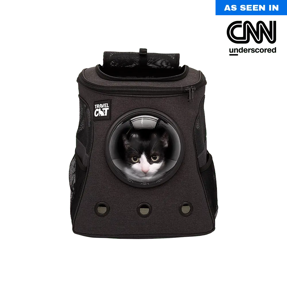 "The Fat Cat" Cat Backpack & Mini Cat Backpack Bundle