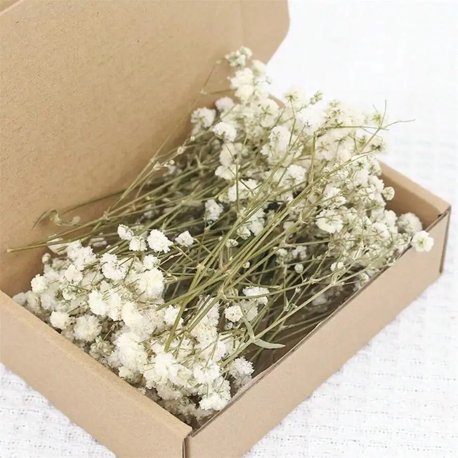 NortureFlora Mini Freeze-Dried Baby’s Breath Eternal Flower Bouquet, 50-400PCS Natural White Gypsophila, Lightweight Natural Look Fake Flowers, Fake Plant Decoration, Table Decor, DIY Crafts Supplies, Bridesmaid Wedding Gift, Decorative Fake Flowers