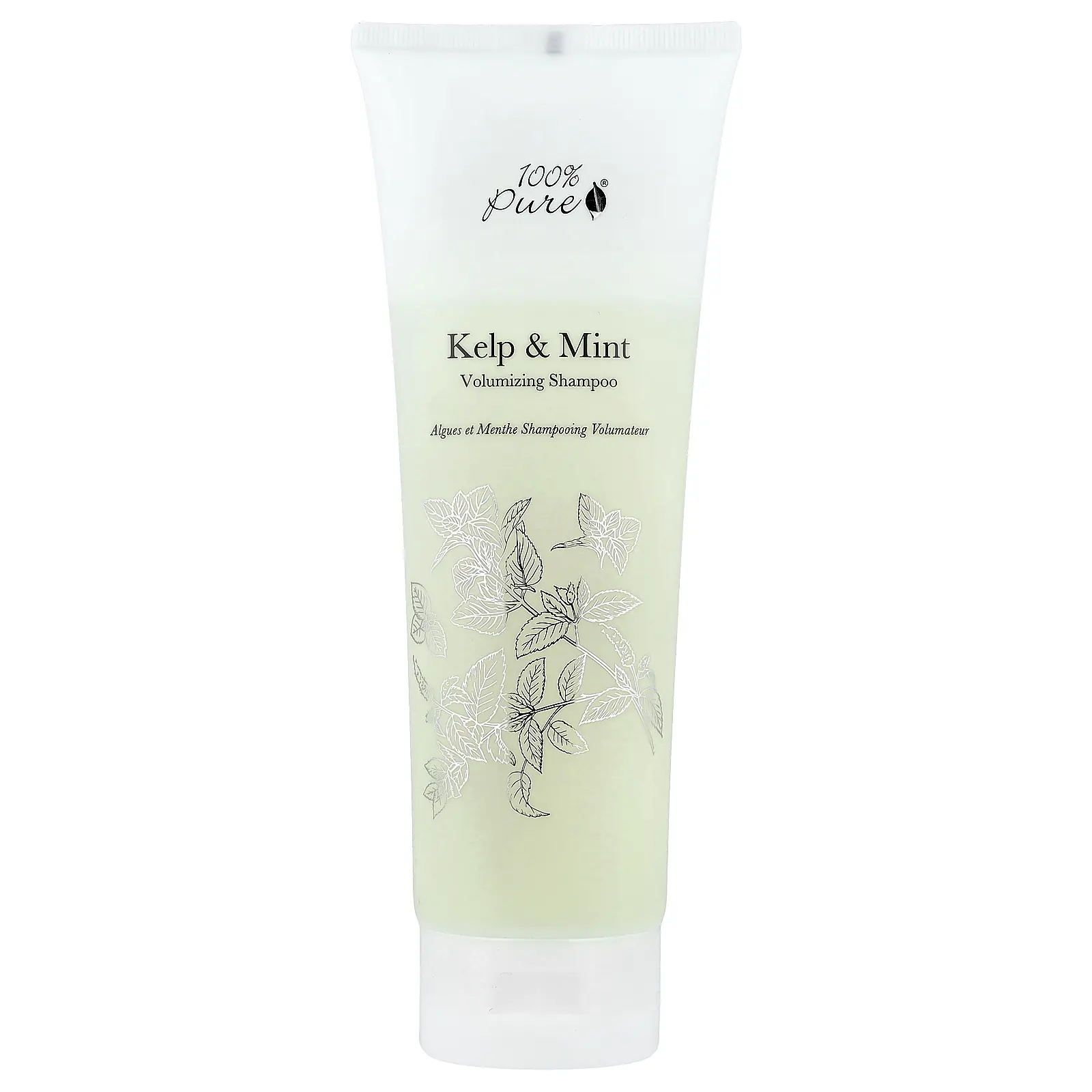 100% PURE Volumizing Shampoo, Kelp & Mint , 8 fl oz (236 ml)