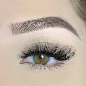 Daydream Lashes