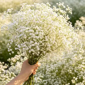 100PCS Artificial Baby Breath Flowers, Real Touch White Baby's Breath for Wedding Centerpieces, Home Decor, DIY Floral Arrangements, Party, Office Decoration(without a vase)