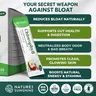 Nature's Sunshine Chlorophyll Stick Packs: Crisp Apple. Gut Health Hero- Detox, Reduce Bloat, Clear Skin, Support Digestion, Boost Energy Healthcare Sustainably Sourced