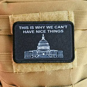 The government is why we cant have nice things meme 2"x3" removable morale patch with hook and loop backing