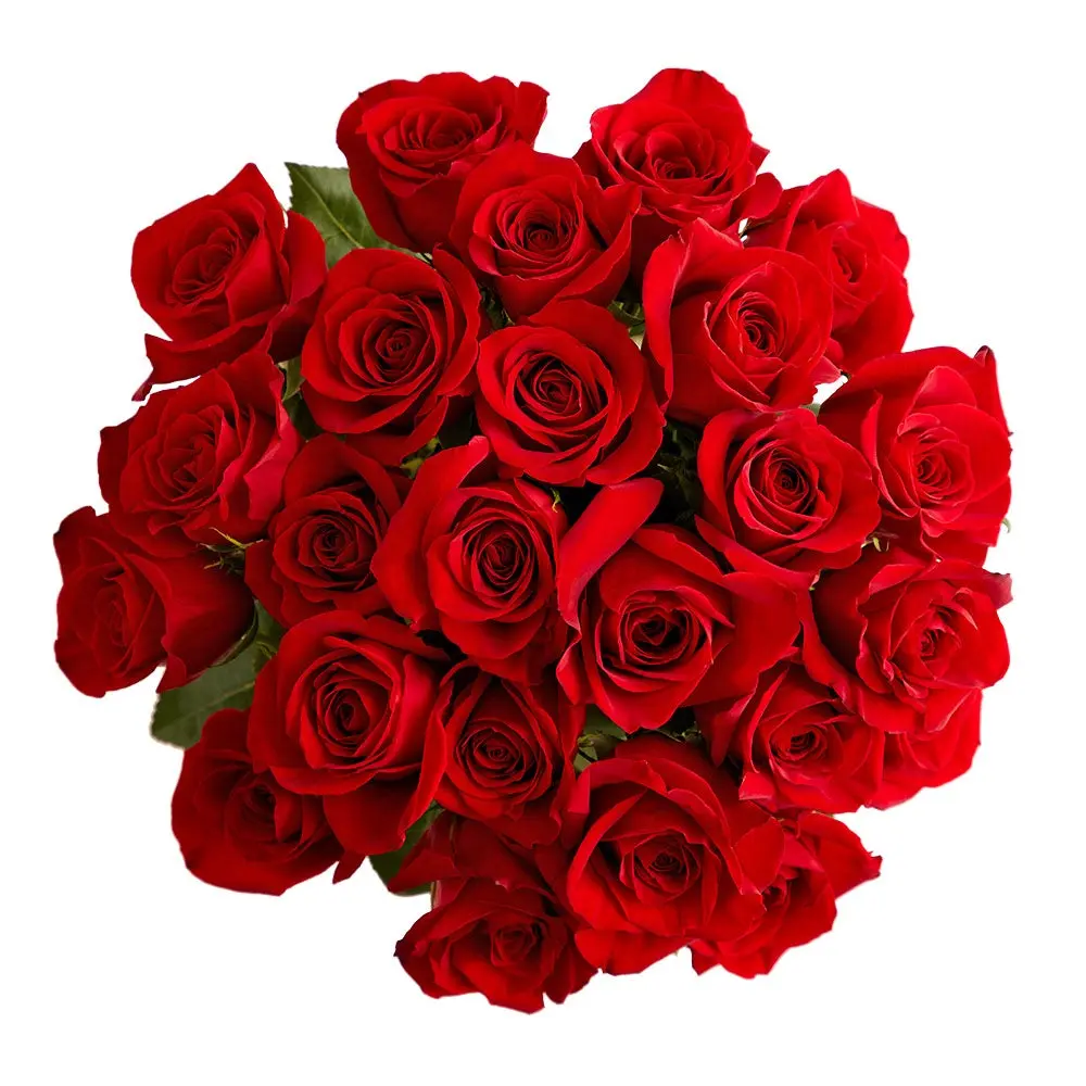 1800 Flowers - 24 Stem Red Roses Bouquet Only, Fresh Flowers