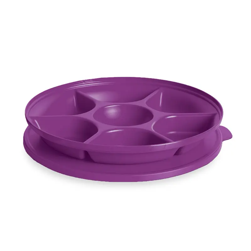 Small Server Tray with Lid by Tupperware