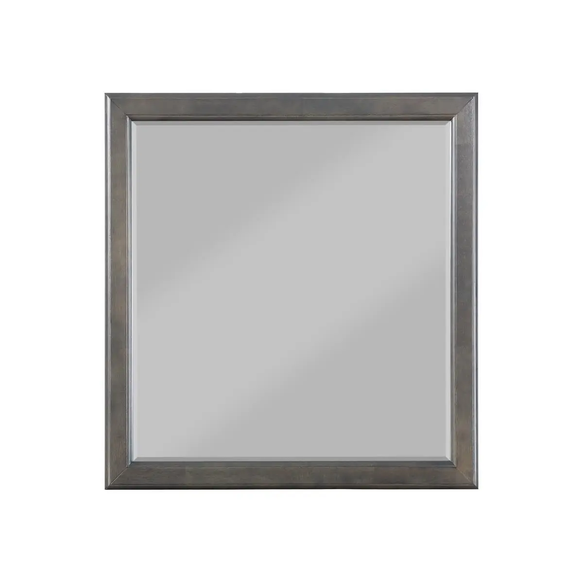HomeRoots Decorative Bathroom Mirror - 1x36x38 in., Dark Gray Wood Frame with Simple Moldings, Classic Home Improvement Fixture for Bathroom, Bedroom, Rectangle