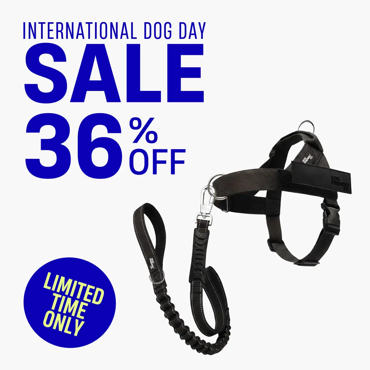 No Pull Dog Harness & Leash Set – Signature Kit + No Pull D-Ring - Dog Friendly CO