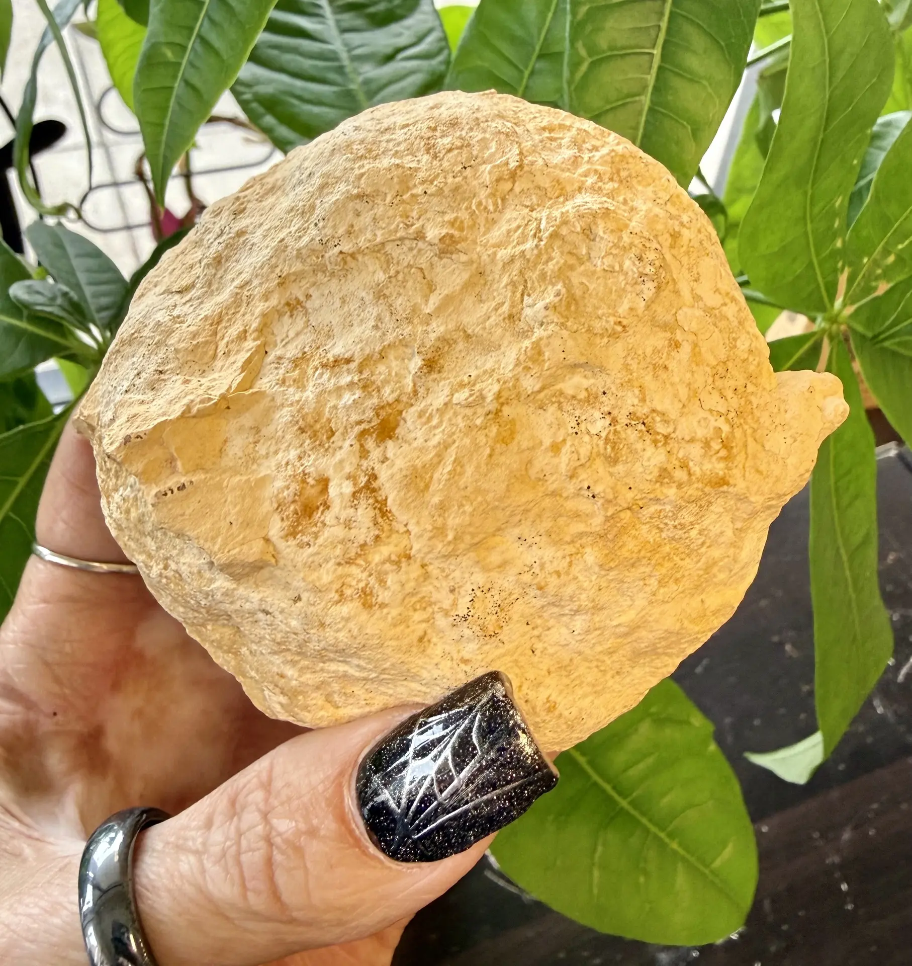 Moroccan Calcite Geode