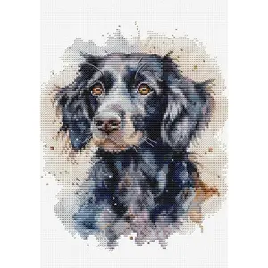 The Border Collie BC213L Counted Cross-Stitch Kit