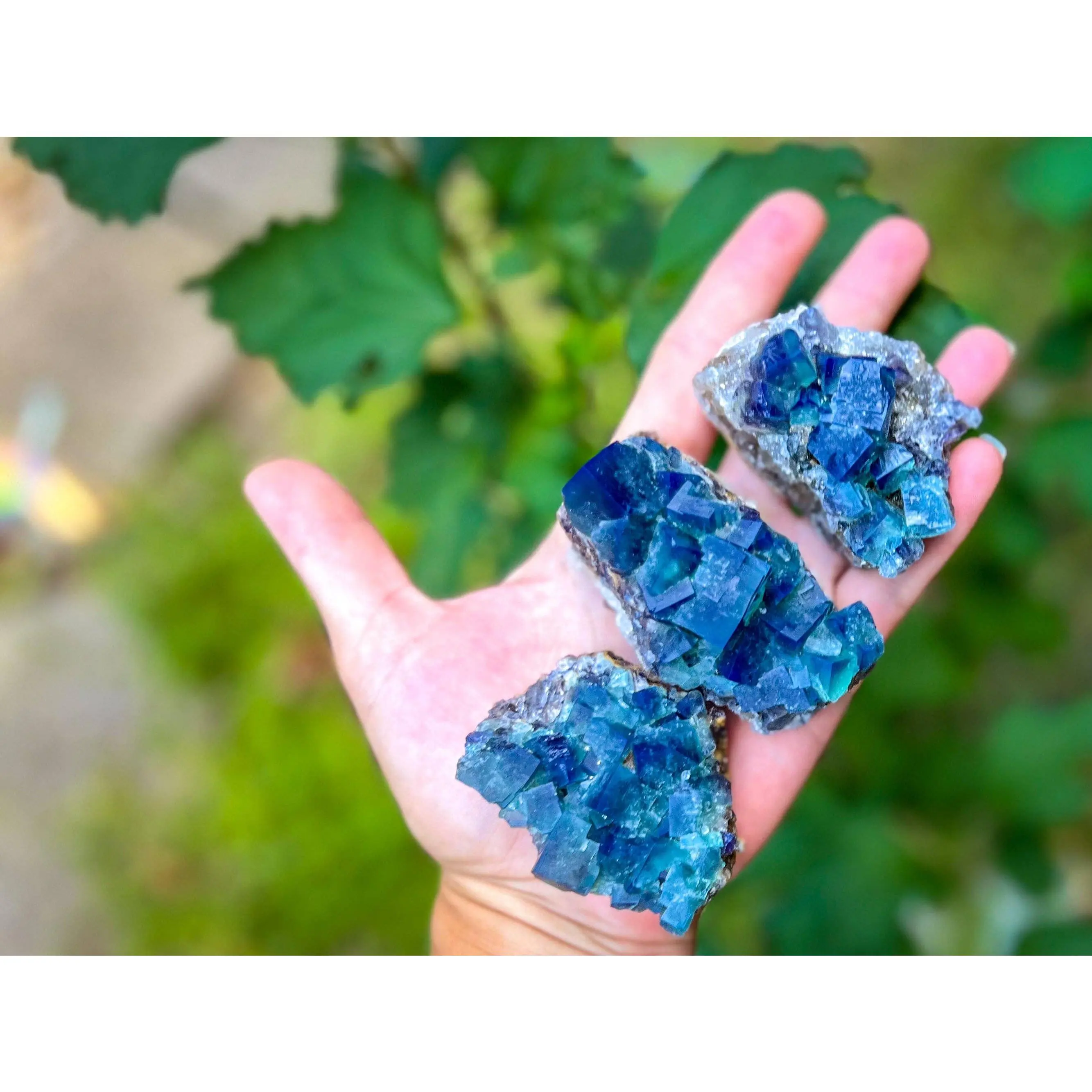Hidden Forest Pocket Fluorite Clusters (UV Fluorescent)