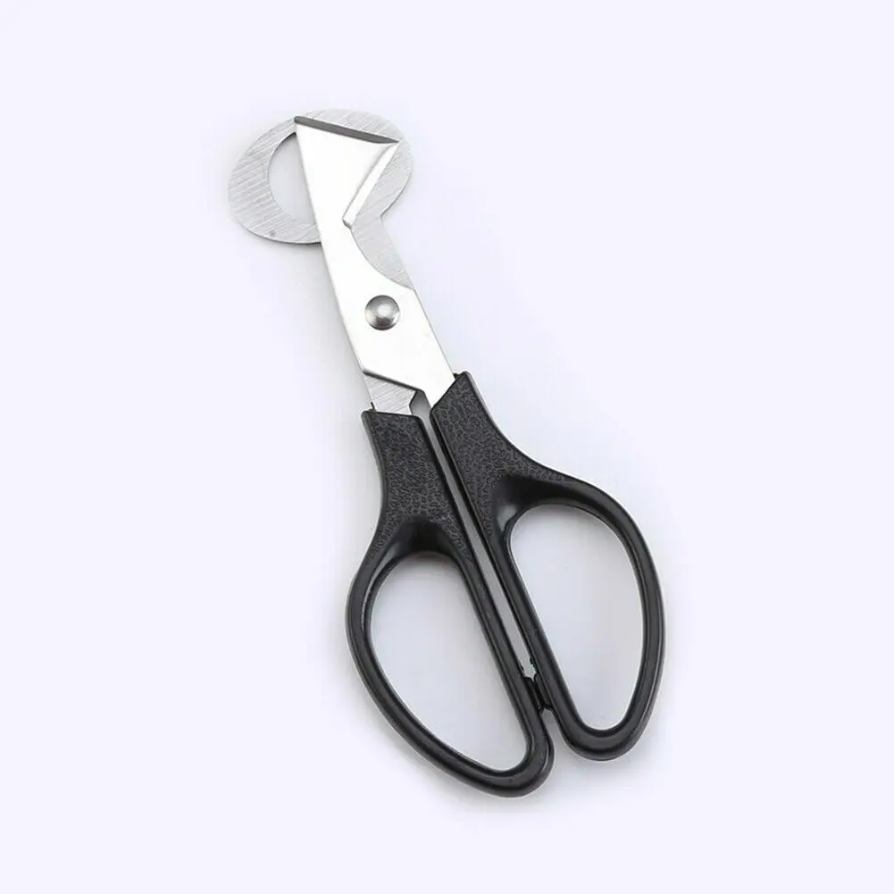 Stainless Steel Quail Egg Scissors Stainless Steel Quail Egg Scissors