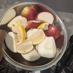 SUSTEAS Cold Press Juicer, 5.3 Inch Large Feed Opening, Slow Masticator Chute, For Whole Vegetables and Fruits, High Yield, Easy to Clean Springtok Steel