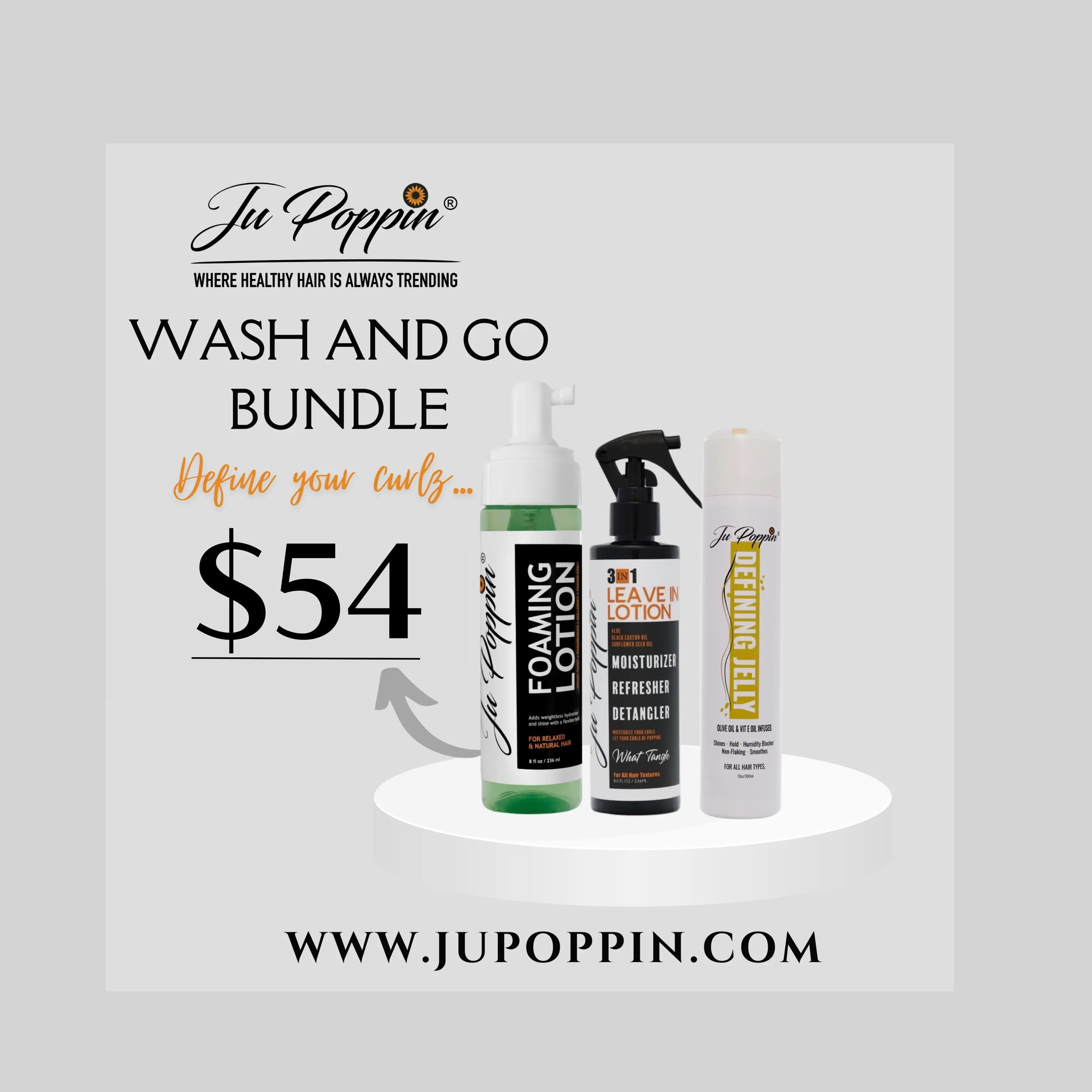 WASH & GO BUNDLE / DEFINE YOUR CURLZ..