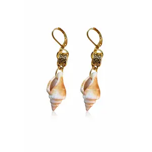 Small Conch Shells