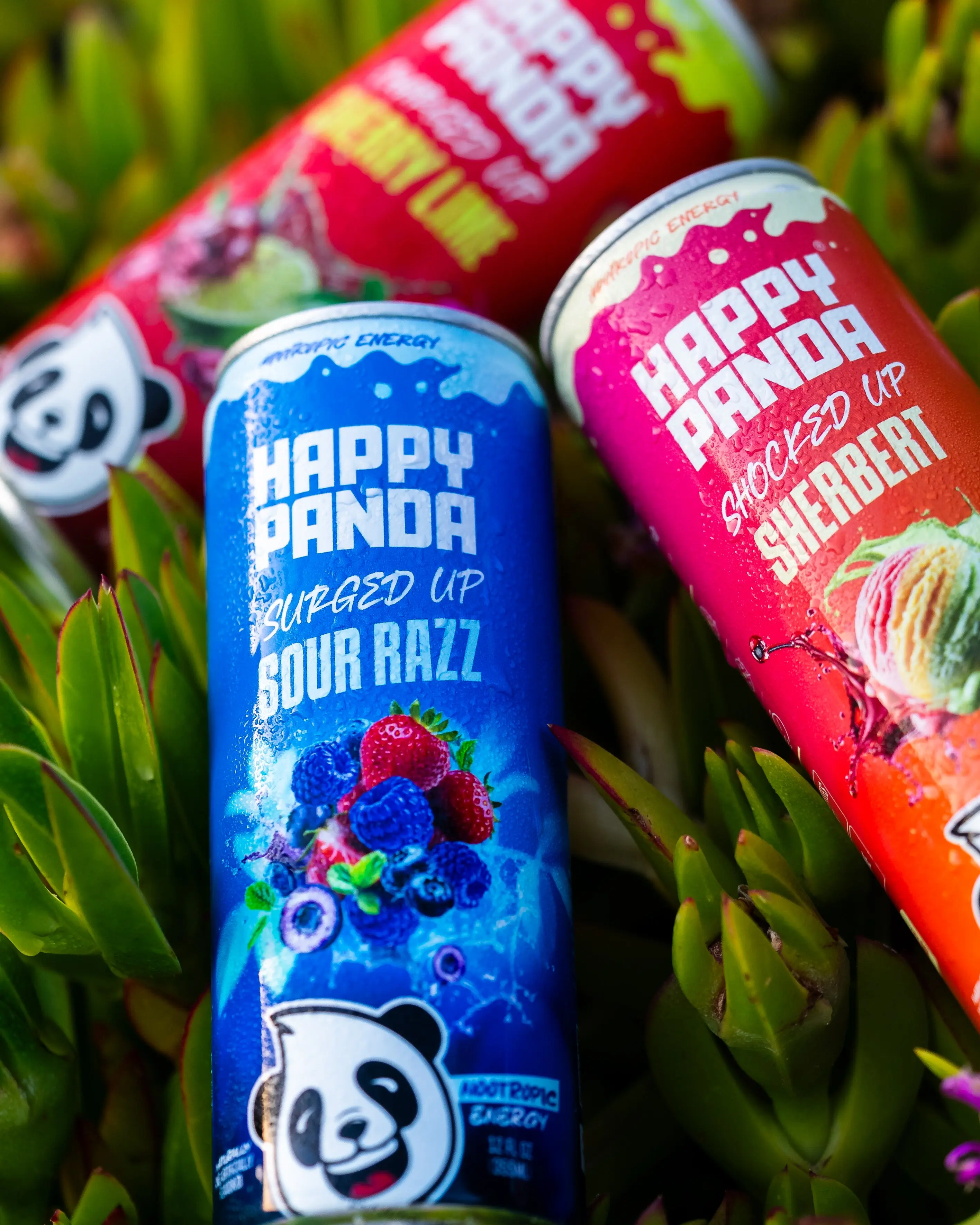 Happy Panda | Nootropic Energy Drink - 12 Packs | For  Everyday, Workout & On-the-Go