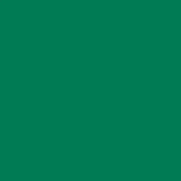Siser EasyWeed EcoStretch 12in Width Heat Transfer Vinyl Fabric - PU Base, Eco-Conscious, 100% Recyclable, Energy-Efficient, Stretchy for Lycra & 100% Cotton, Matte Finish, Machine Wash-Safe, Can Be Layered, Sewing Supplies