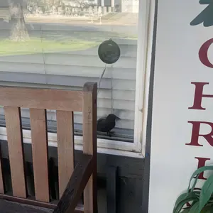 Product Review of Luna Window Camera for Home - 2K 2.4GHz Wifi, Indoor Glass-Mount Security Camera, Stick-On No-Drill Install, Clear Window View for Outdoor Monitoring, Color Night Vision Through Glass, Smart AI Motion Detection, Easy Setup for Home & Apartment from H**p