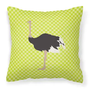 Common Ostrich Green Fabric Decorative Pillow BB7750PW1818